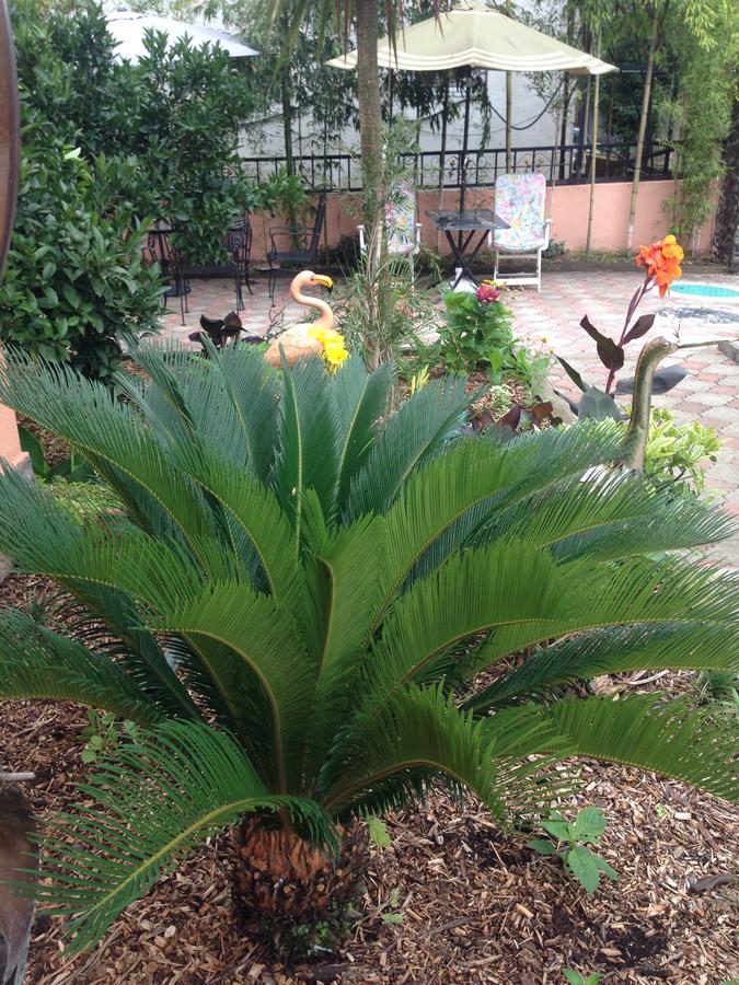 Villa Gardenia Ureki Bagian luar foto